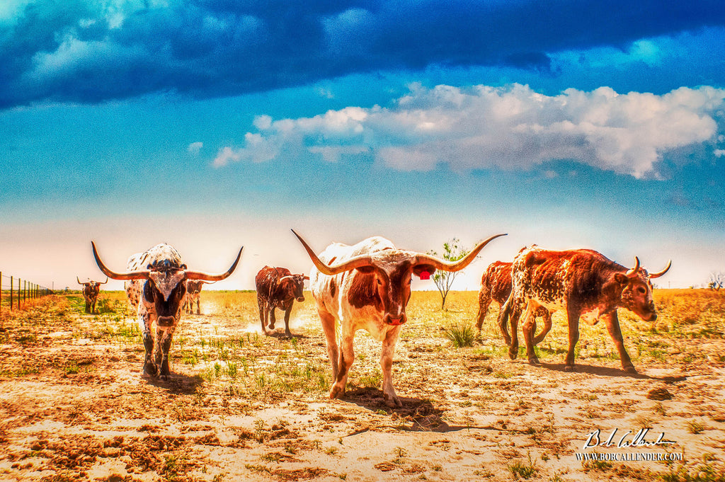 Feeding Time Artist: Bob Callender - Bob Callender Fine Art oil and gas art