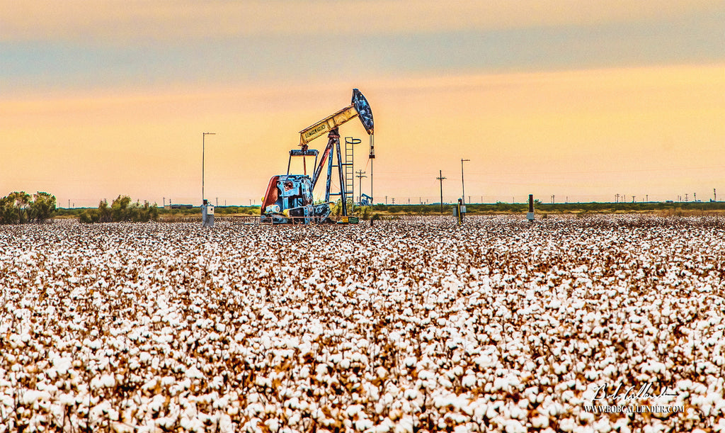 Bethlehem Cotton Artist: Bob Callender - Bob Callender Fine Art oil and gas art