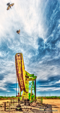 Soaring